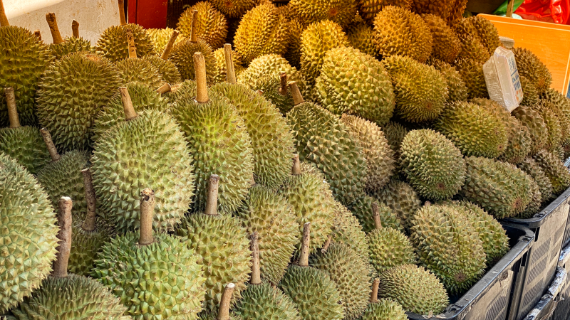 Malaysia | Durians
